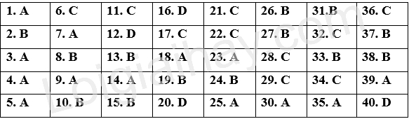 Đề thi giữa kì 2 Tiếng Anh 12 Bright - Đề số 1 1 1