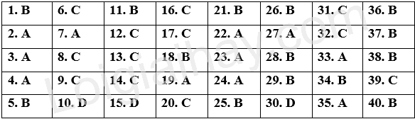 Đề thi học kì 2 Tiếng Anh 12 iLearn Smart World - Đề số 4 1 1