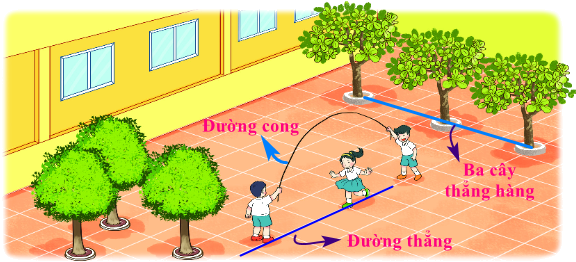 Bài 25. Điểm, đoạn thẳng, đường thẳng, đường cong, ba điểm thẳng hàng 6 2