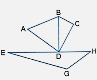 Bài 25: Hình tam giác. Diện tích hình tam giác (tiết 2) trang 85 vở bài tập Toán 5 - Kết nối tri thức 3 1