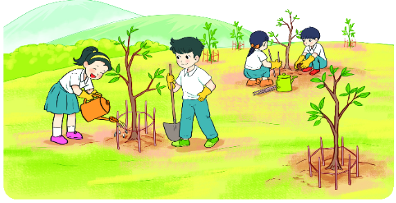 Bài 6: Luyện tập chung 4 1