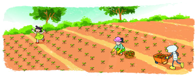 Bài 62. Phép trừ (có nhớ) trong phạm vi 1000 2 1