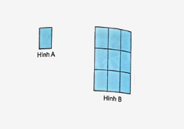 Bài 71: Ôn tập hình học (tiết 2) trang 110 vở bài tập Toán 5 - Kết nối tri thức 3 1