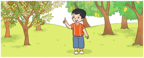 Bảng cộng (có nhớ) trong phạm vi 20 2 1