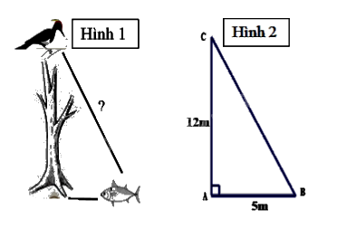 Đề cương ôn tập học kì 1 Toán 8 - Cánh diều 3