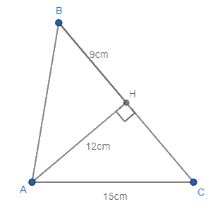 Đề cương ôn tập học kì 1 Toán 8 - Cánh diều 8