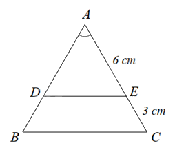 Đề cương ôn tập học kì 2 Toán 8 - Cánh diều 2