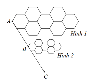 Đề cương ôn tập học kì 2 Toán 8 - Cánh diều 8