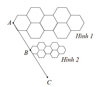 Đề cương ôn tập học kì 2 Toán 8 - Kết nối tri thức 6