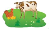 Đề kiểm tra học kì 1 Toán 3 Kết nối tri thức - Đề số 6 0 3