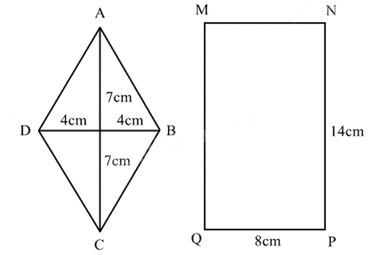 Đề thi giữa kì 1 Toán 6 - Đề số 18 1 7