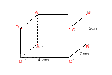 Đề thi giữa kì 1 Toán 7 - Đề số 7 0 1