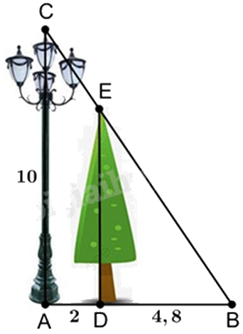 Đề thi giữa kì 2 Toán 8 Cánh diều - Đề số 9 0 4