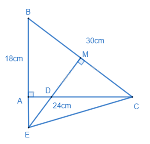 Đề thi giữa kì 2 Toán 8 - Đề số 1 - Kết nối tri thức 1 5