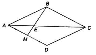 Đề thi giữa kì 2 Toán 8 - Đề số 6 - Cánh diều 1 3