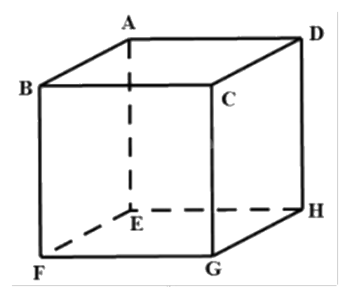 Đề thi học kì 1 Toán 12 Chân trời sáng tạo - Đề số 3 1 5