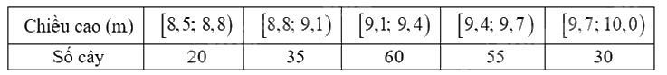 Đề thi học kì 1 Toán 12 Kết nối tri thức - Đề số 2 1 15
