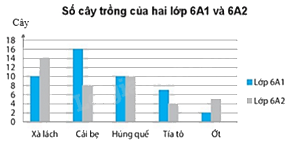 Đề thi học kì 1 Toán 6 - Đề số 11 - Chân trời sáng tạo 0 4