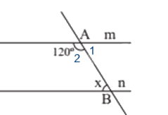 Đề thi học kì 1 Toán 7 Cánh diều - Đề số 14 1 6