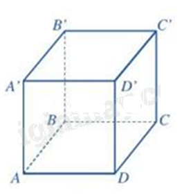 Đề thi học kì 1 Toán 7 Cánh diều - Đề số 18 1 2