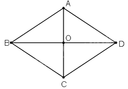 Đề thi học kì 1 Toán 8 - Đề số 2 - Chân trời sáng tạo 1 4
