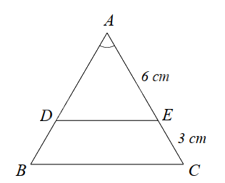 Đề thi học kì 2 Toán 8 - Đề số 1 - Chân trời sáng tạo 1 1