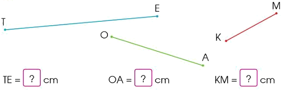 Đo độ dài đoạn thẳng, độ dài đường gấp khúc 1 0 1