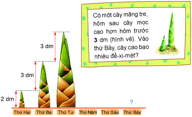 Em làm được những gì (trang 77, 78, 79, 80) 11 1