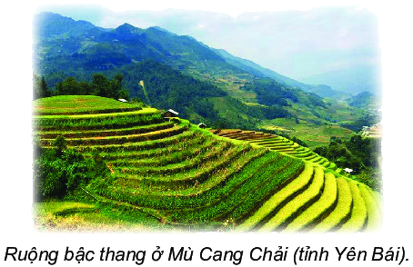 Em làm được những gì (trang 77, 78, 79, 80) 12 1