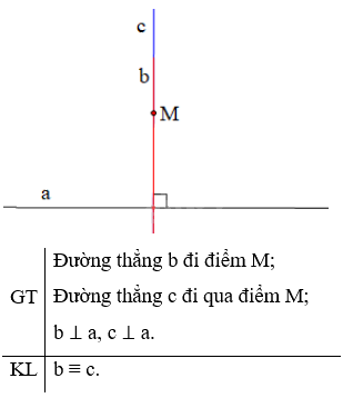 Giải bài 1 trang 107 SGK Toán 7 tập 1 - Cánh diều 4