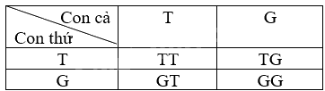 Giải bài 1 trang 69, 70 vở thực hành Toán 9 tập 2 2