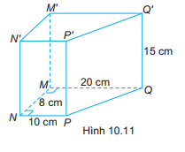 Giải Bài 10.14 trang 65 sách bài tập toán 7 - Kết nối tri thức với cuộc sống 1