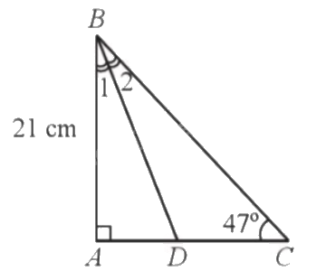 Giải bài 11 trang 84 sách bài tập toán 9 - Cánh diều tập 1 2