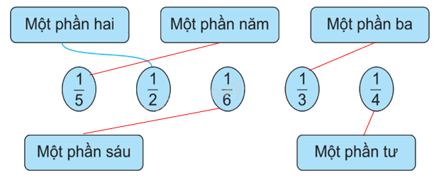 Giải bài 14: Một phần mấy (tiết 1) trang 37 vở bài tập Toán 3 - Kết nối tri thức với cuộc sống 1 2