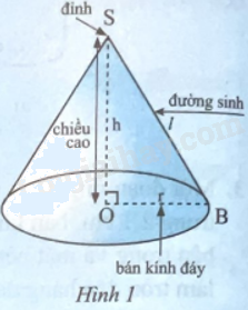 Giải bài 2 trang 103 sách bài tập toán 9 - Chân trời sáng tạo tập 2 2