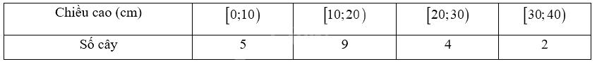 Giải bài 2 trang 63, 64 vở thực hành Toán 9 tập 2 1