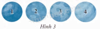 Giải bài 2 trang 67 sách bài tập toán 9 - Chân trời sáng tạo tập 2 1
