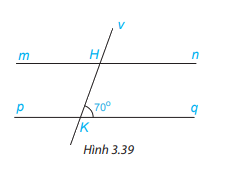 Giải bài 3.17 trang 53 SGK Toán 7 tập 1 - Kết nối tri thức 1
