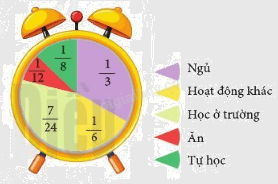 Giải Bài 3 trang 33 SGK Toán 6 Cánh Diều Tập 2 1
