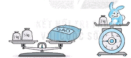 Giải bài 35: Ôn tập đo lường (tiết 1) trang 129 Vở bài tập toán 2 - Kết nối tri thức với cuộc sống 2 1