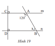 Giải bài 7 trang 81 SGK Toán 7 tập 1 - Chân trời sáng tạo 1