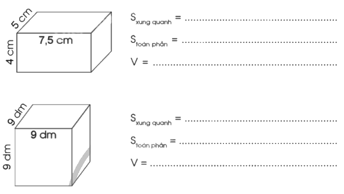 Giải bài 77: Em ôn lại những gì đã học trang 79, 80, 81, 82, 83 vở bài tập Toán 5 - Cánh diều 4 1