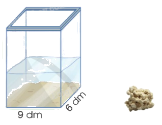 Giải bài 77: Em ôn lại những gì đã học trang 79, 80, 81, 82, 83 vở bài tập Toán 5 - Cánh diều 4 2