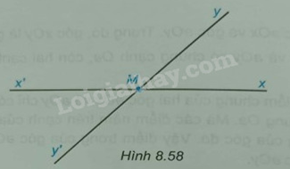 Giải Bài 8.49 trang 57 sách bài tập Toán 6 Kết nối tri thức với cuộc sống 1