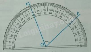 Giải Bài 8.53 trang 57 sách bài tập Toán 6 Kết nối tri thức với cuộc sống 1