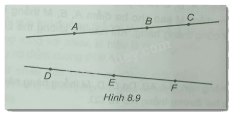 Giải Bài 8.8 trang 42 sách bài tập Toán 6 Kết nối tri thức với cuộc sống 1