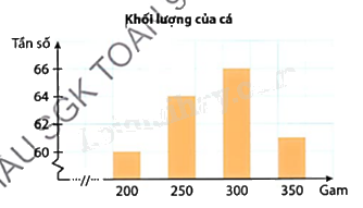 Giải bài tập 10.8 trang 104 SGK Toán 9 tập 2 - Cùng khám phá 1