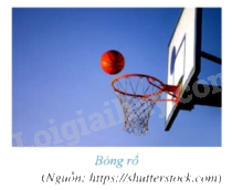 Giải câu hỏi khởi động trang 55 SGK Toán 9 tập 1 - Cánh diều 1