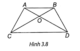 Giải câu hỏi trắc nghiệm trang 47 vở thực hành Toán 8 2 1