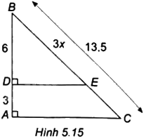 Giải câu hỏi trắc nghiệm trang 53, 54 sách bài tập toán 8 - Kết nối tri thức với cuộc sống 6